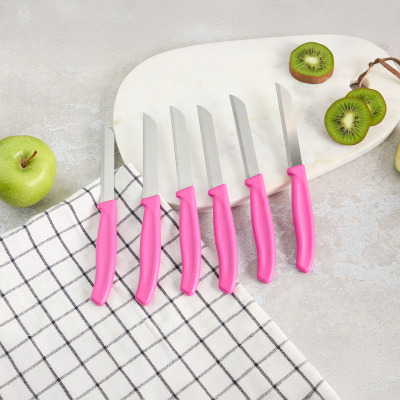 Aryıldız Mira 6 Parça Dişli Meyve Bıçak Seti Fuşya - ARYILDIZ