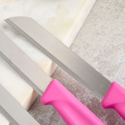 Aryıldız Mira 6 Parça Dişli Meyve Bıçak Seti Fuşya - 3