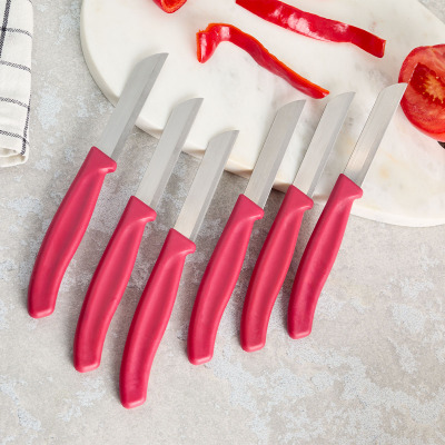 Aryıldız Mira 6 Parça Meyve Bıçak Seti Bordo - ARYILDIZ