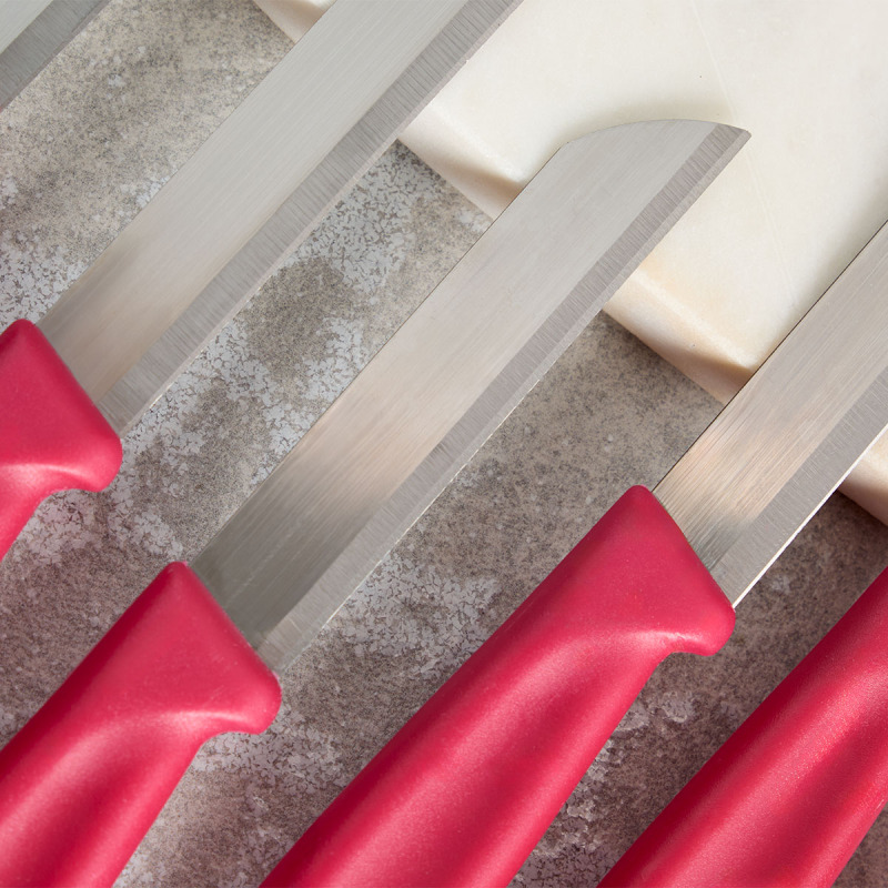 Aryıldız Mira 6 Parça Meyve Bıçak Seti Bordo - 3