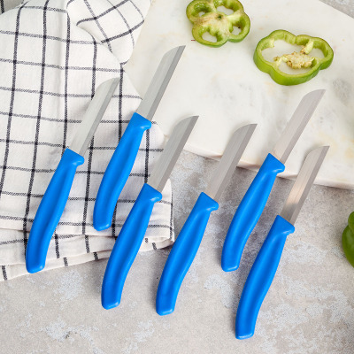 Aryıldız Mira 6 Parça Meyve Bıçak Seti Mavi - ARYILDIZ