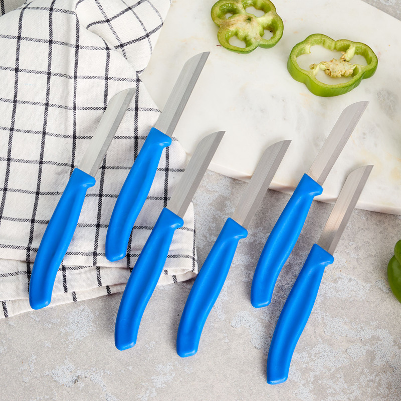 Aryıldız Mira 6 Parça Meyve Bıçak Seti Mavi - 1